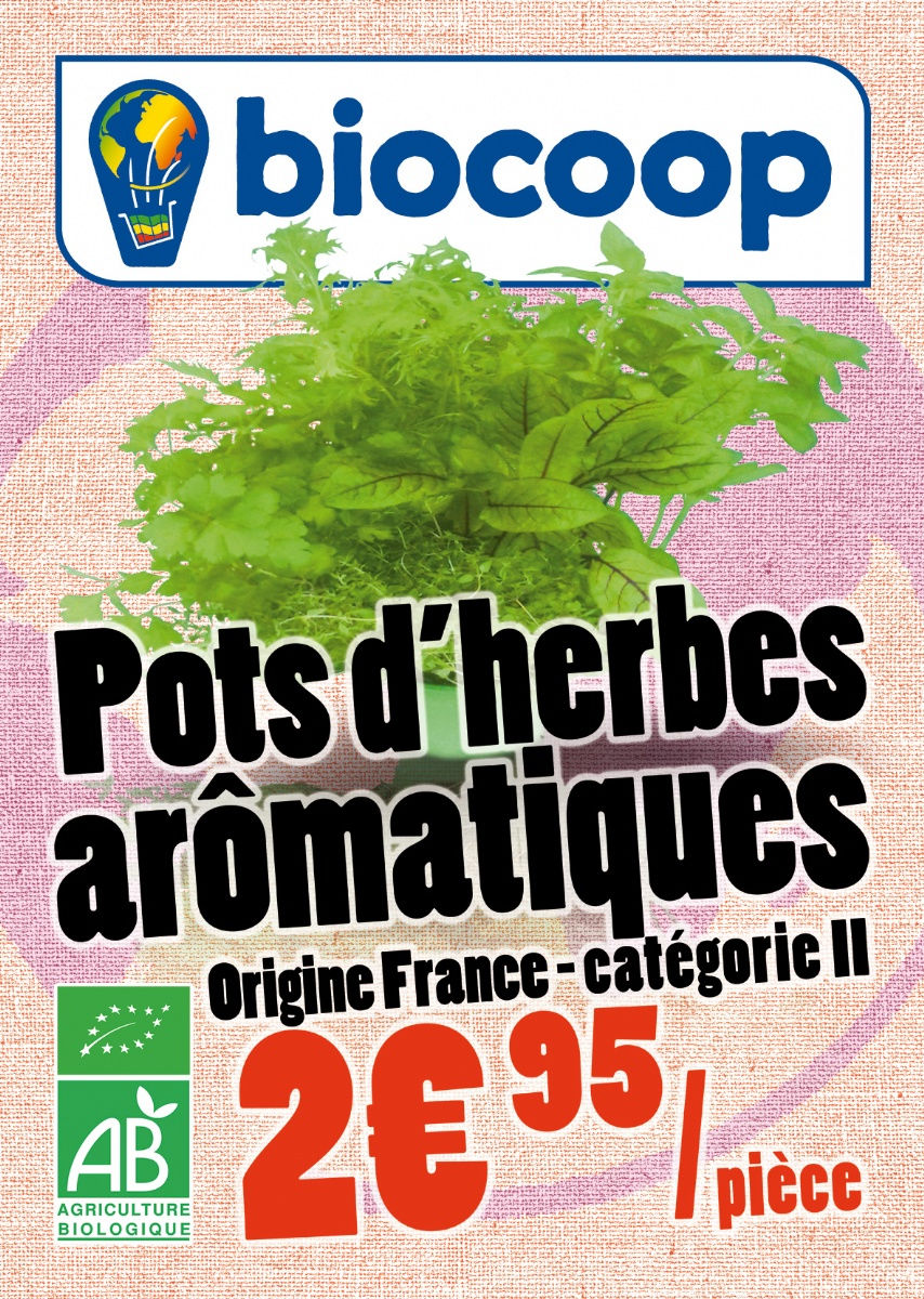 PROMO SUR LES PLANTS BIO D'AROMATIQUES ! PROMO SUR LES PLANTS BIO D'AROMATIQUES !